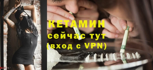 шишки Белокуриха
