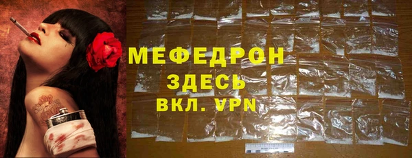 шишки Белокуриха