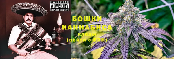 сатива Богородицк