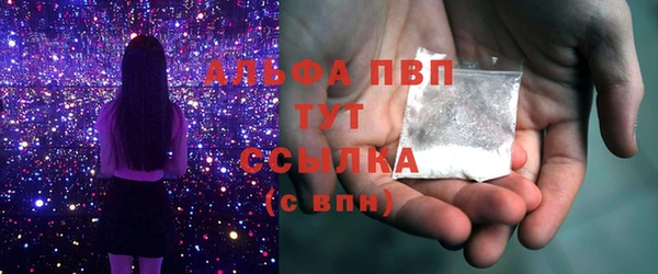 шишки Белокуриха