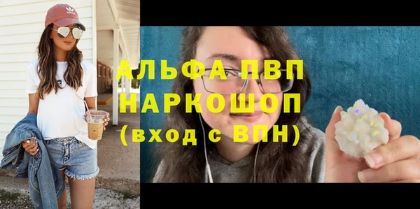 шишки Белокуриха