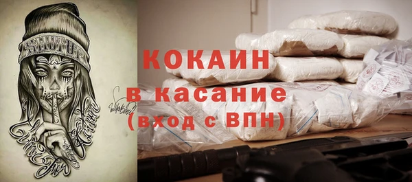шишки Белокуриха