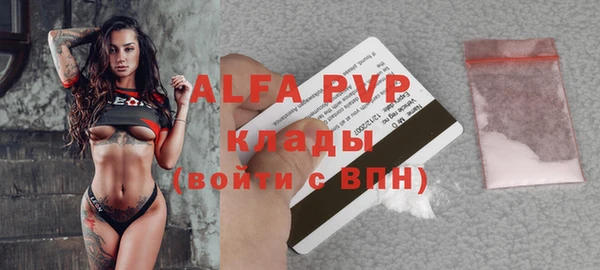 шишки Белокуриха