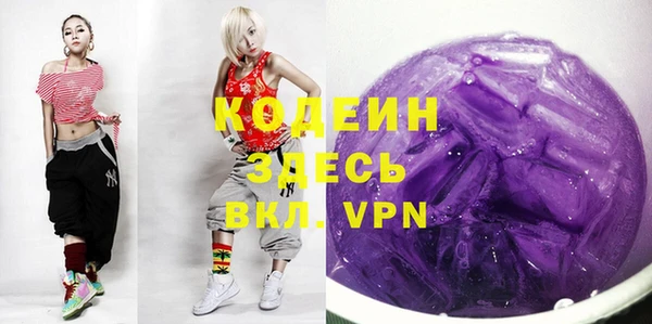 шишки Белокуриха
