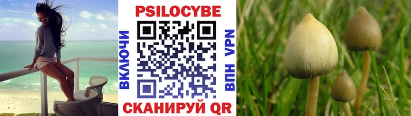 Галлюциногенные грибы MAGIC MUSHROOMS  цены наркотик  KRAKEN   Кузнецк 